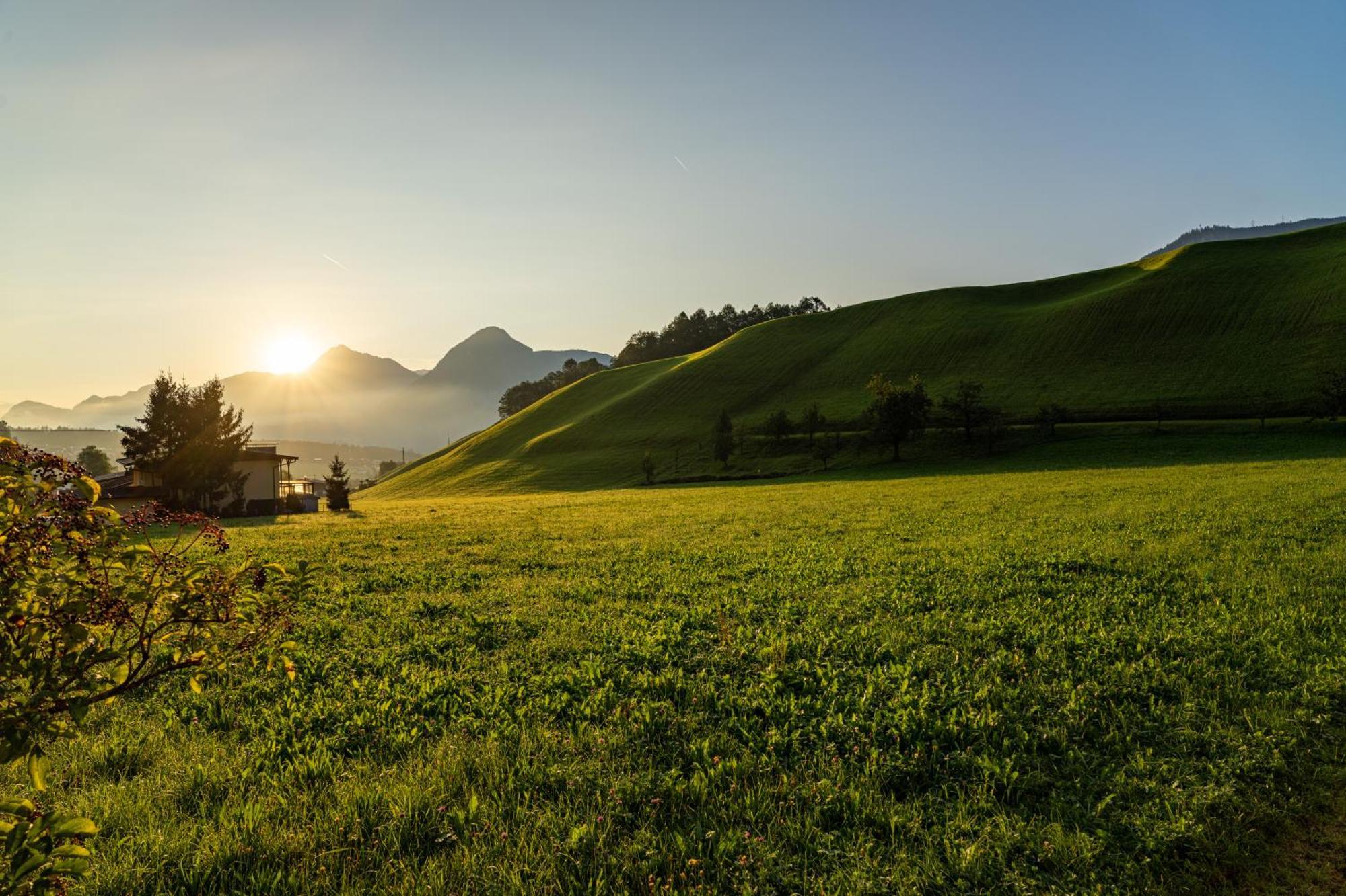 Mid Mountain Apartment Tirol Wiesing Eksteriør bilde